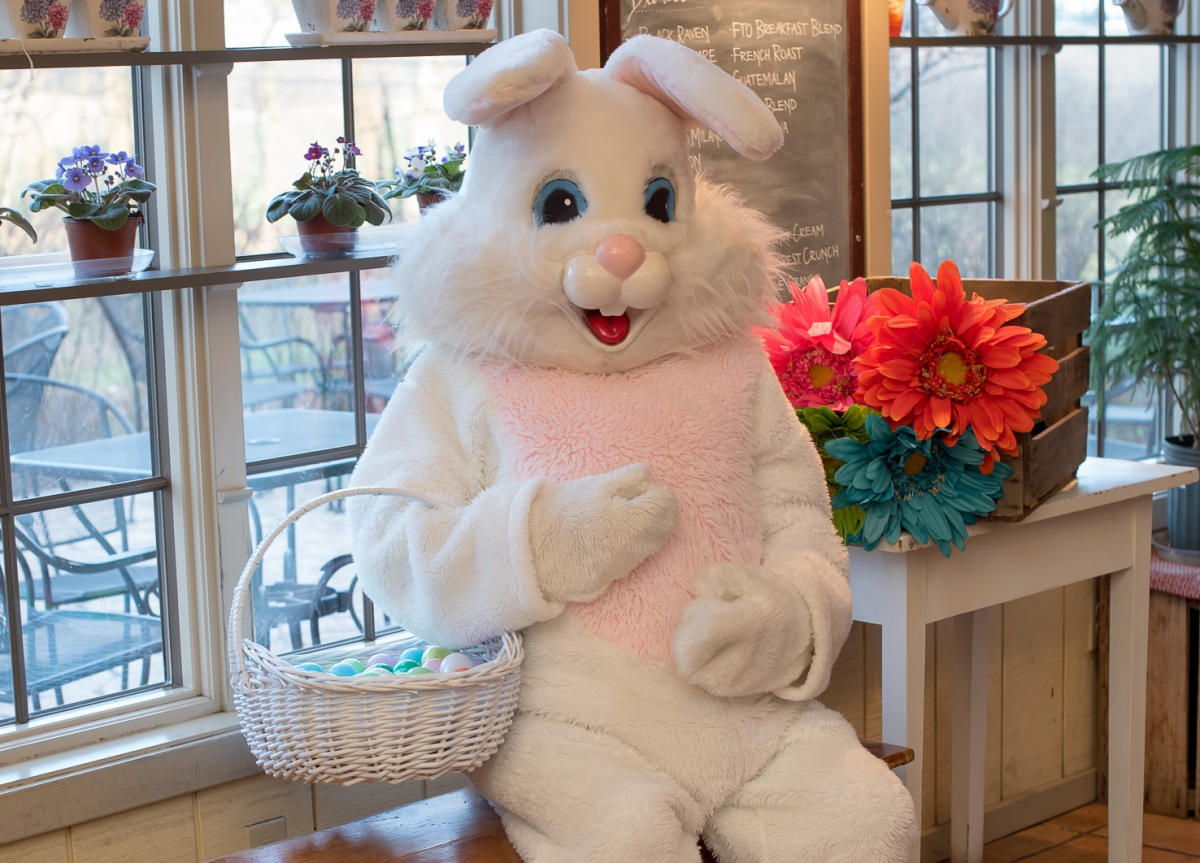 Visit the Easter Bunny Brown's Orchard & Farm Markets